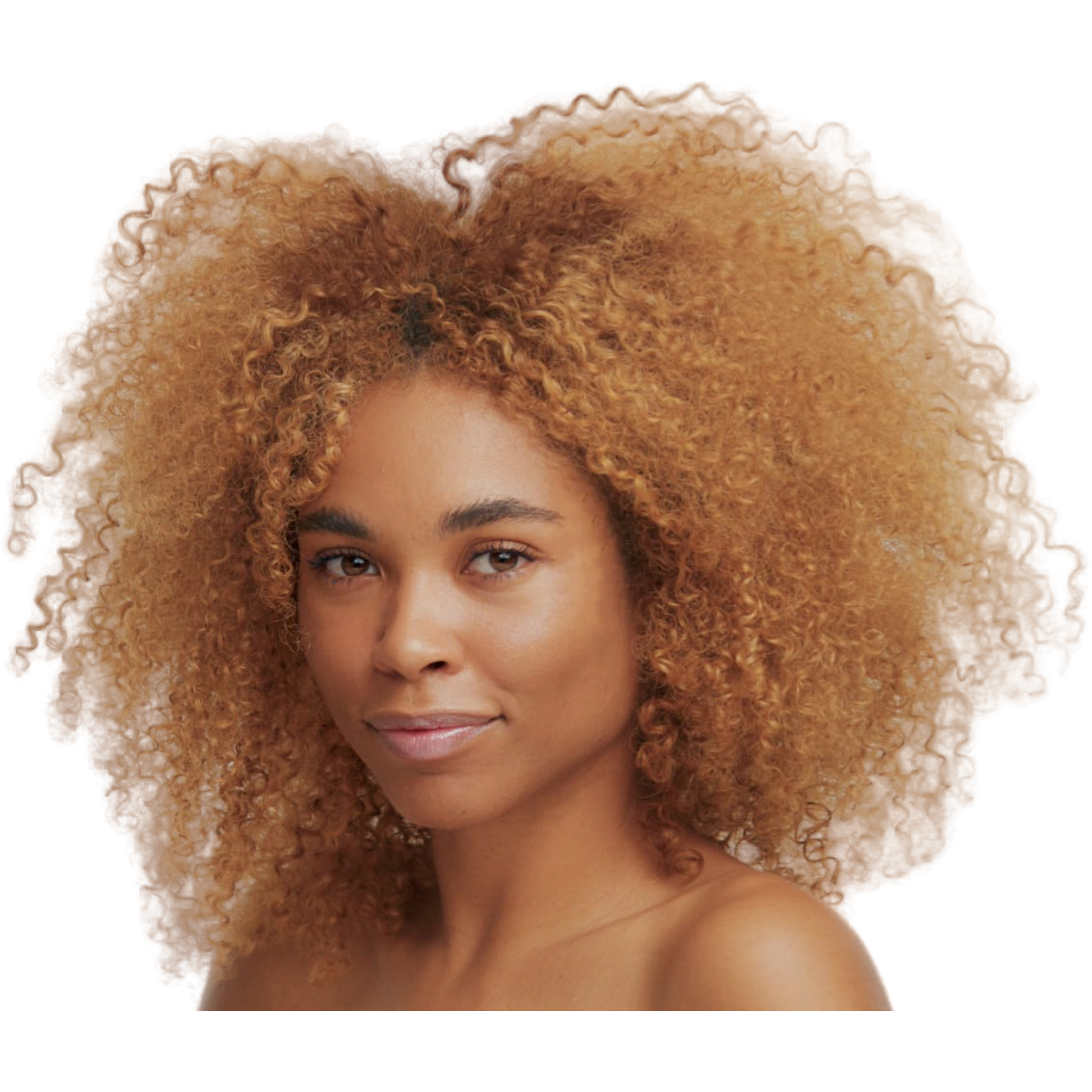 Moroccan Argan Oil + Aloe Shampoo and Conditioner | 4 PC | Haircare Kit | Hydrates + Softens | Weightless Volumizer | Vegan 🌱 | StellaSimone Salon Systems.