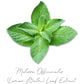Nourish + Repair Detangler | Prevents Color Fading + Flaking | Geranium + Botanical Extracts | Vegan 🌱 | StellaSimone Salon Systems.