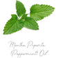 Fresh Mint CoWash | Peppermint Oil + Rice Protein | Skip Shampoo Days + Eliminate Buildup | Vegan🌱 | StellaSimone Salon Systems.